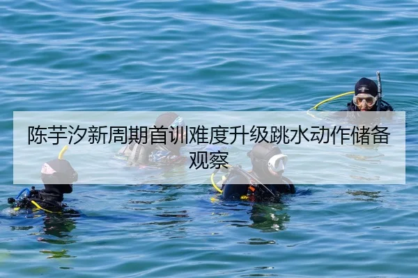 陈芋汐新周期首训难度升级跳水动作储备观察